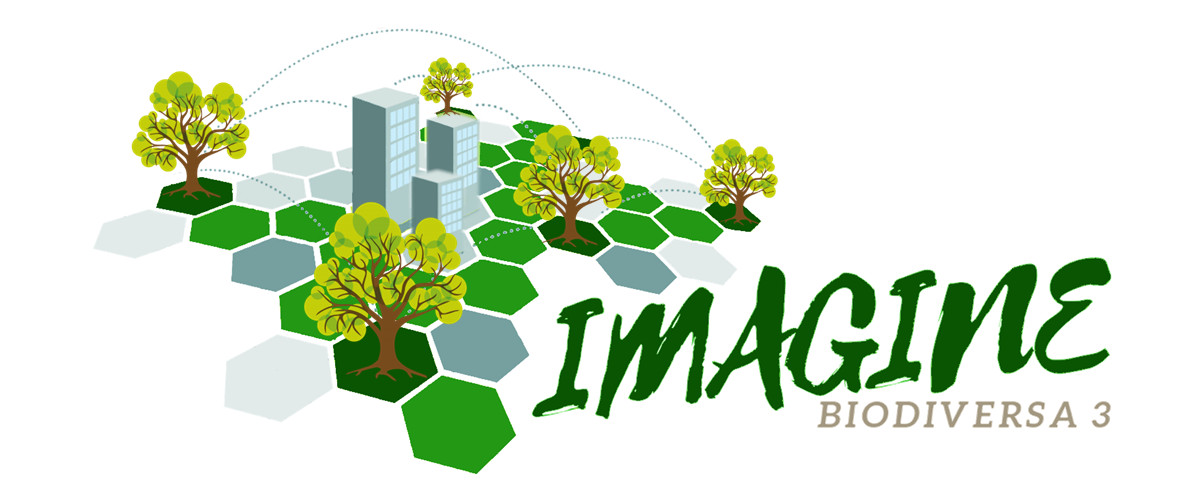 IMAGINE project logo