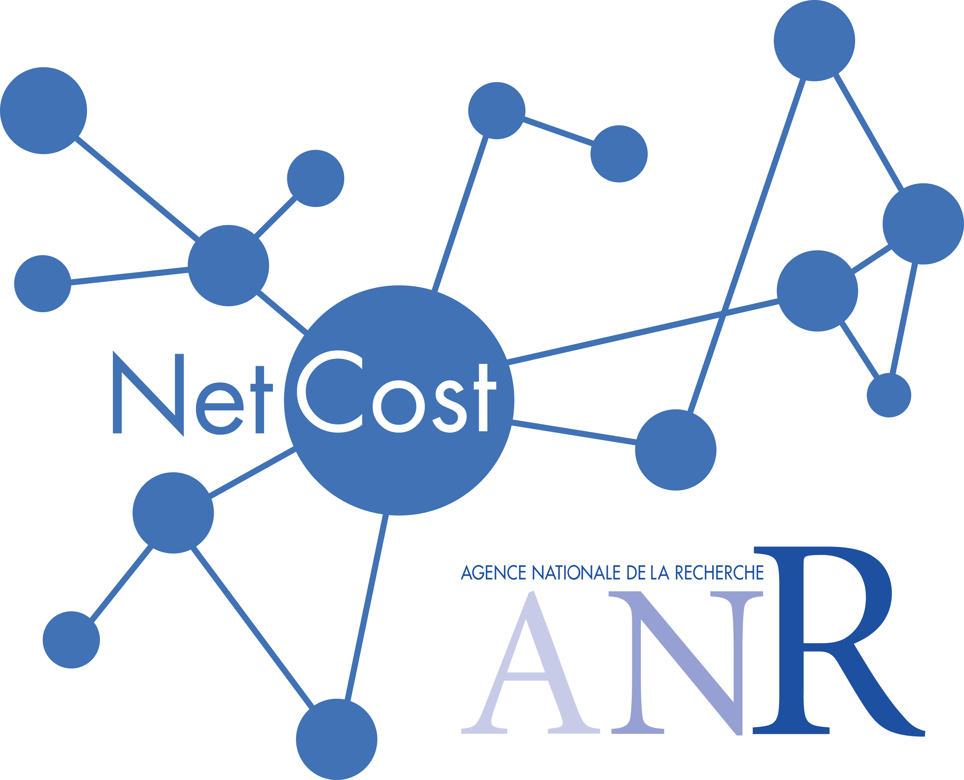 NetCost project logo